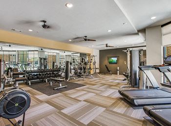 Professionally equipped athletic center with hdtv and cable access